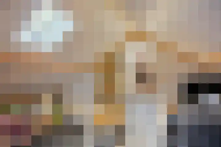 Hobbemalaan 40 Krimpen aan den IJssel thumbnail 31