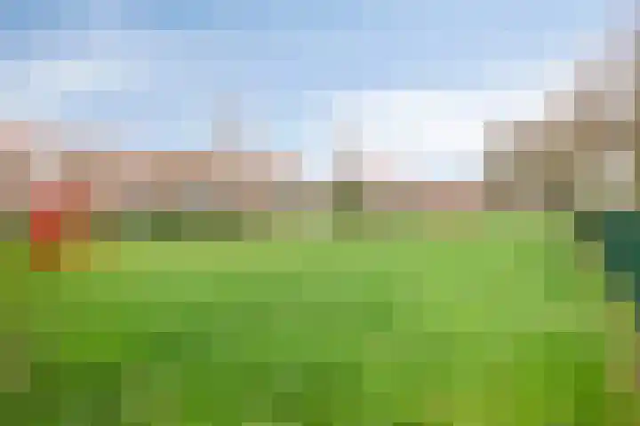 Hobbemalaan 40 Krimpen aan den IJssel thumbnail 38