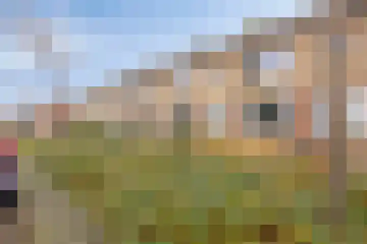Hobbemalaan 40 Krimpen aan den IJssel thumbnail 5