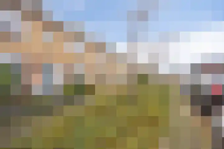 Hobbemalaan 40 Krimpen aan den IJssel thumbnail 7