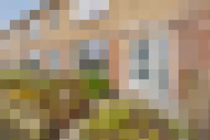 Hobbemalaan 40 Krimpen aan den IJssel thumbnail 8