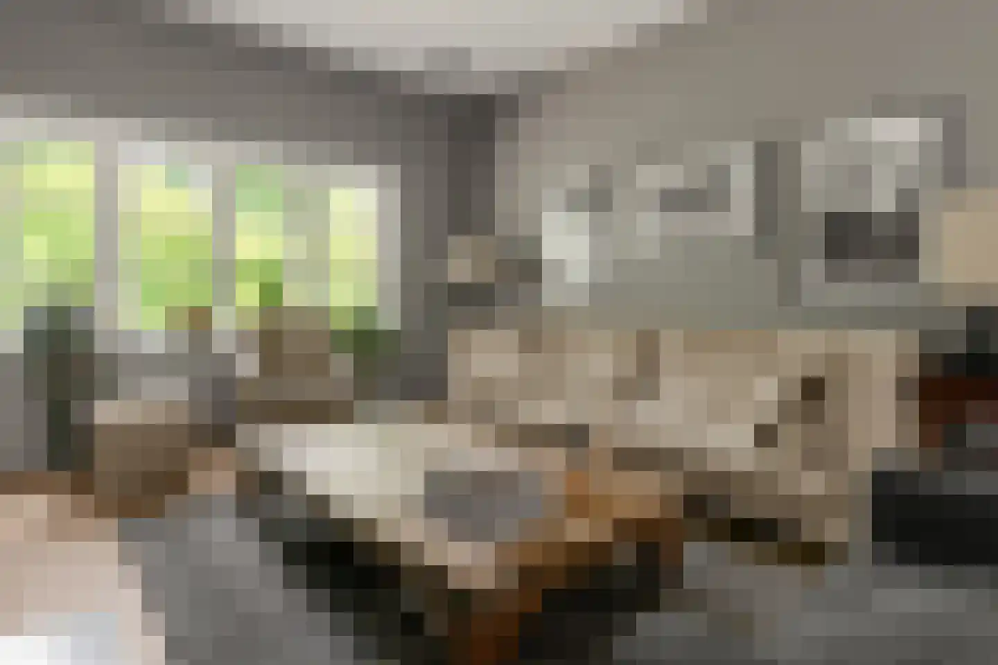 Hobbemalaan 41 Bilthoven thumbnail 10