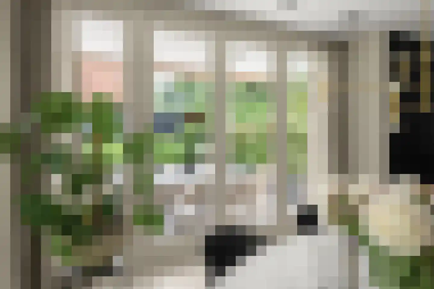 Hobbemalaan 41 Bilthoven thumbnail 19