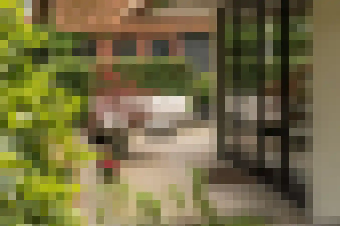 Hobbemalaan 41 Bilthoven thumbnail 20