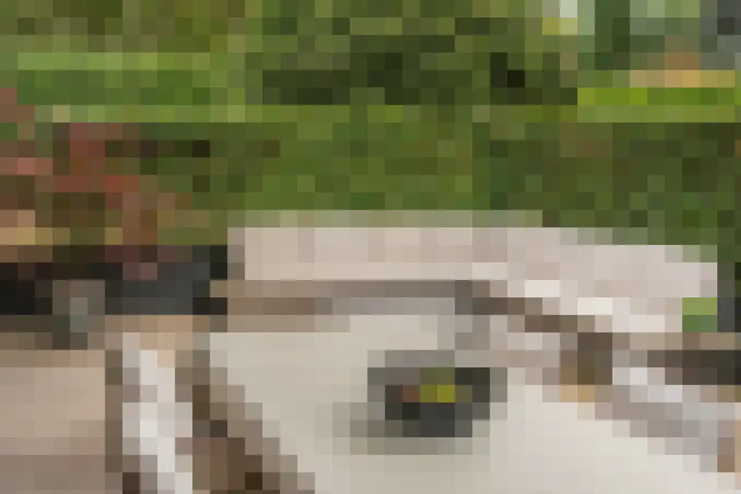 Hobbemalaan 41 Bilthoven thumbnail 23