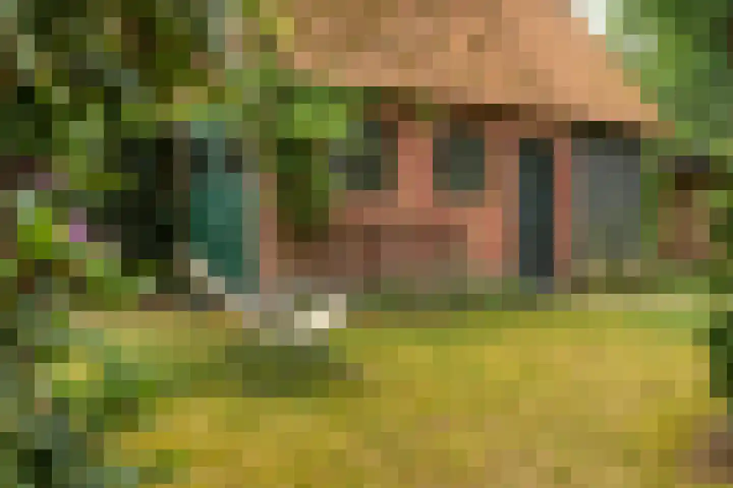 Hobbemalaan 41 Bilthoven thumbnail 27