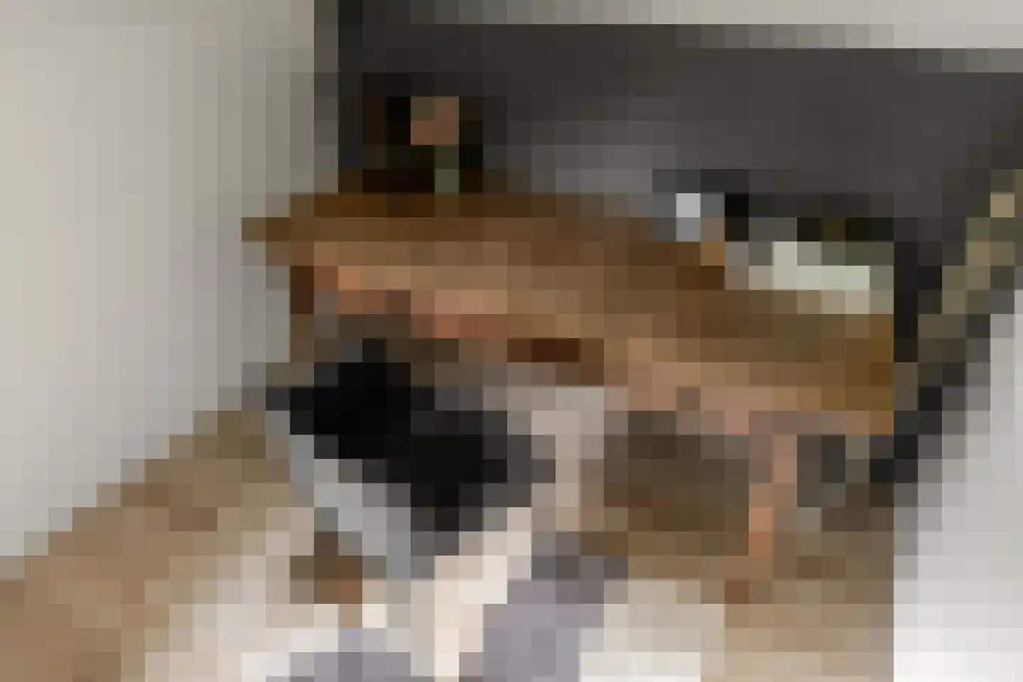 Hobbemalaan 41 Bilthoven thumbnail 31