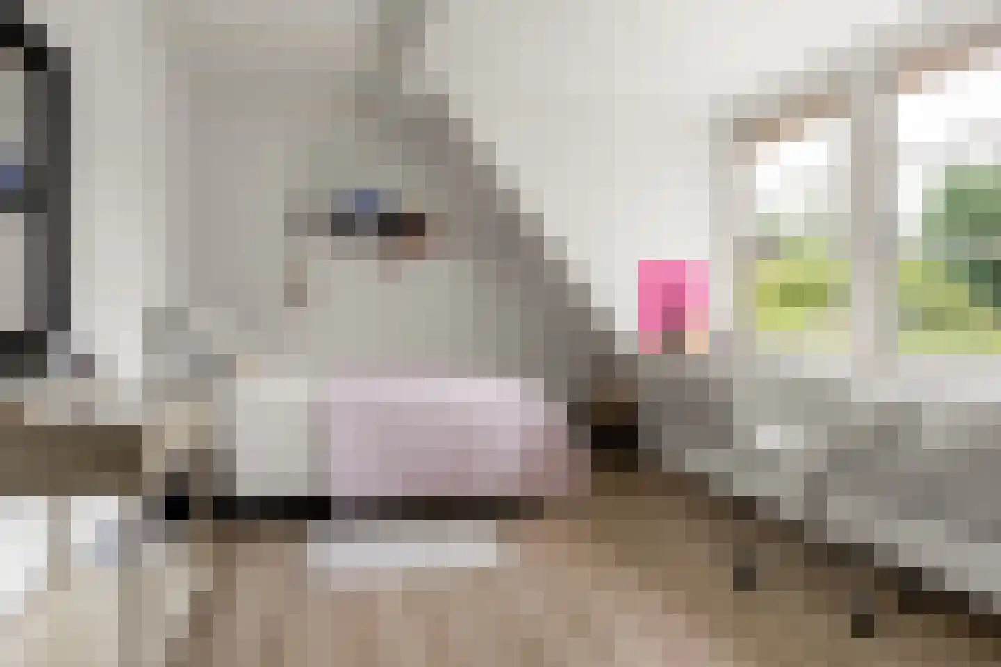 Hobbemalaan 41 Bilthoven thumbnail 39
