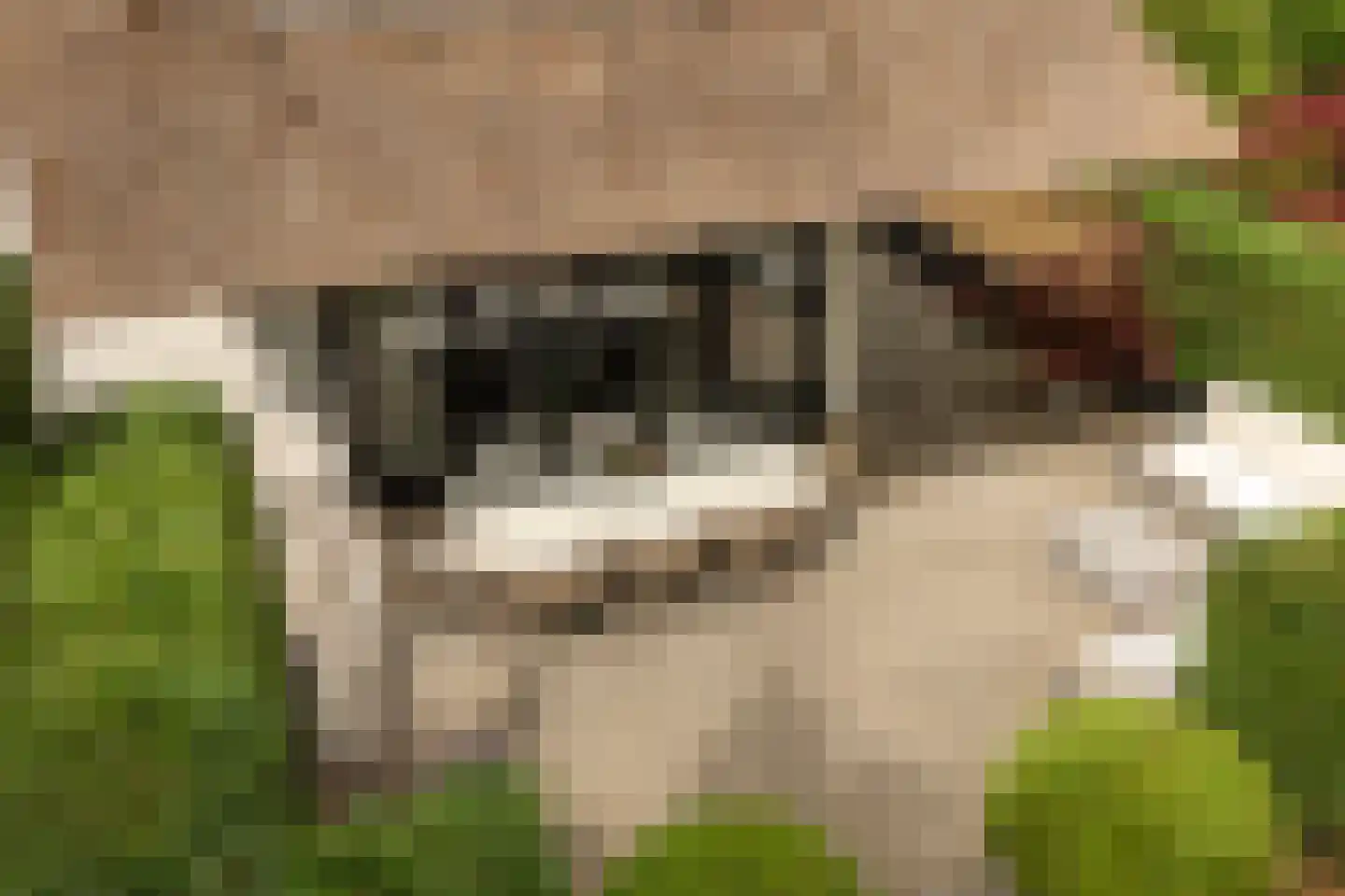 Hobbemalaan 41 Bilthoven thumbnail 4