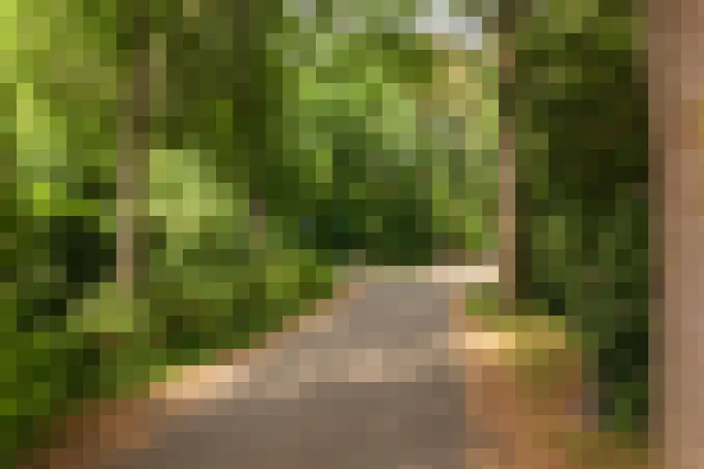 Hobbemalaan 41 Bilthoven thumbnail 46
