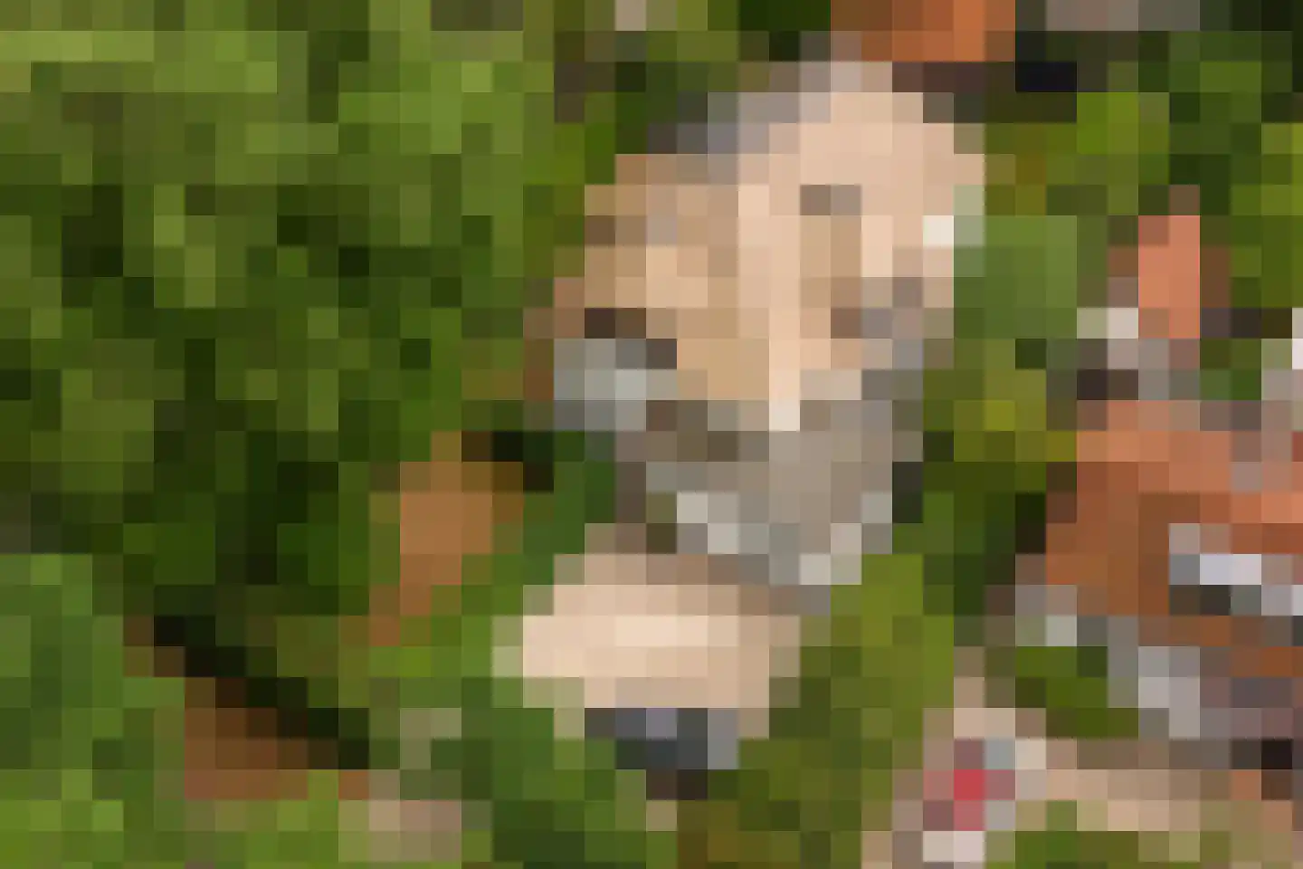 Hobbemalaan 41 Bilthoven thumbnail 47