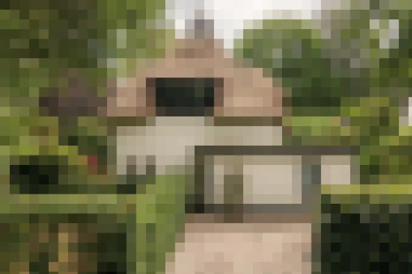 Hobbemalaan 41 Bilthoven thumbnail 5