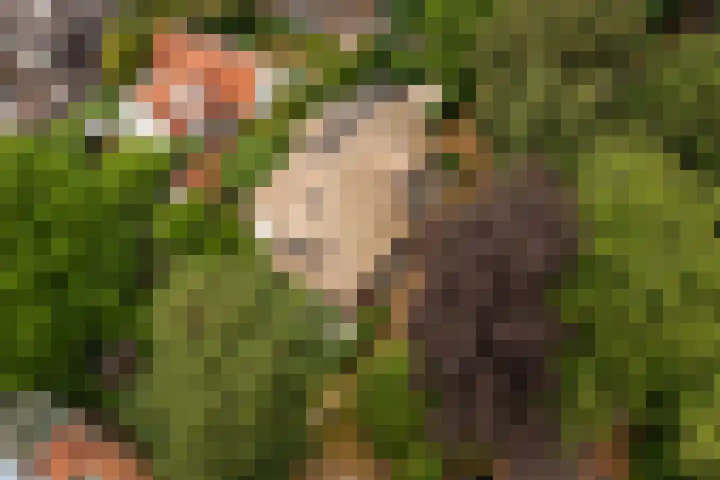 Hobbemalaan 41 Bilthoven thumbnail 6