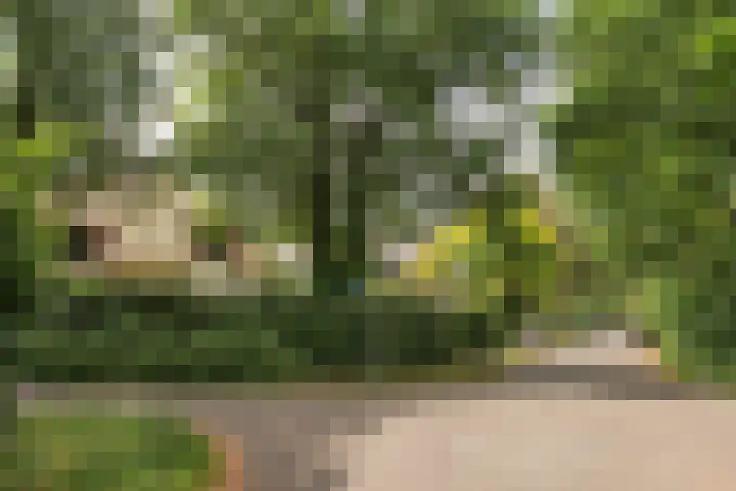 Hobbemalaan 41 Bilthoven thumbnail 7