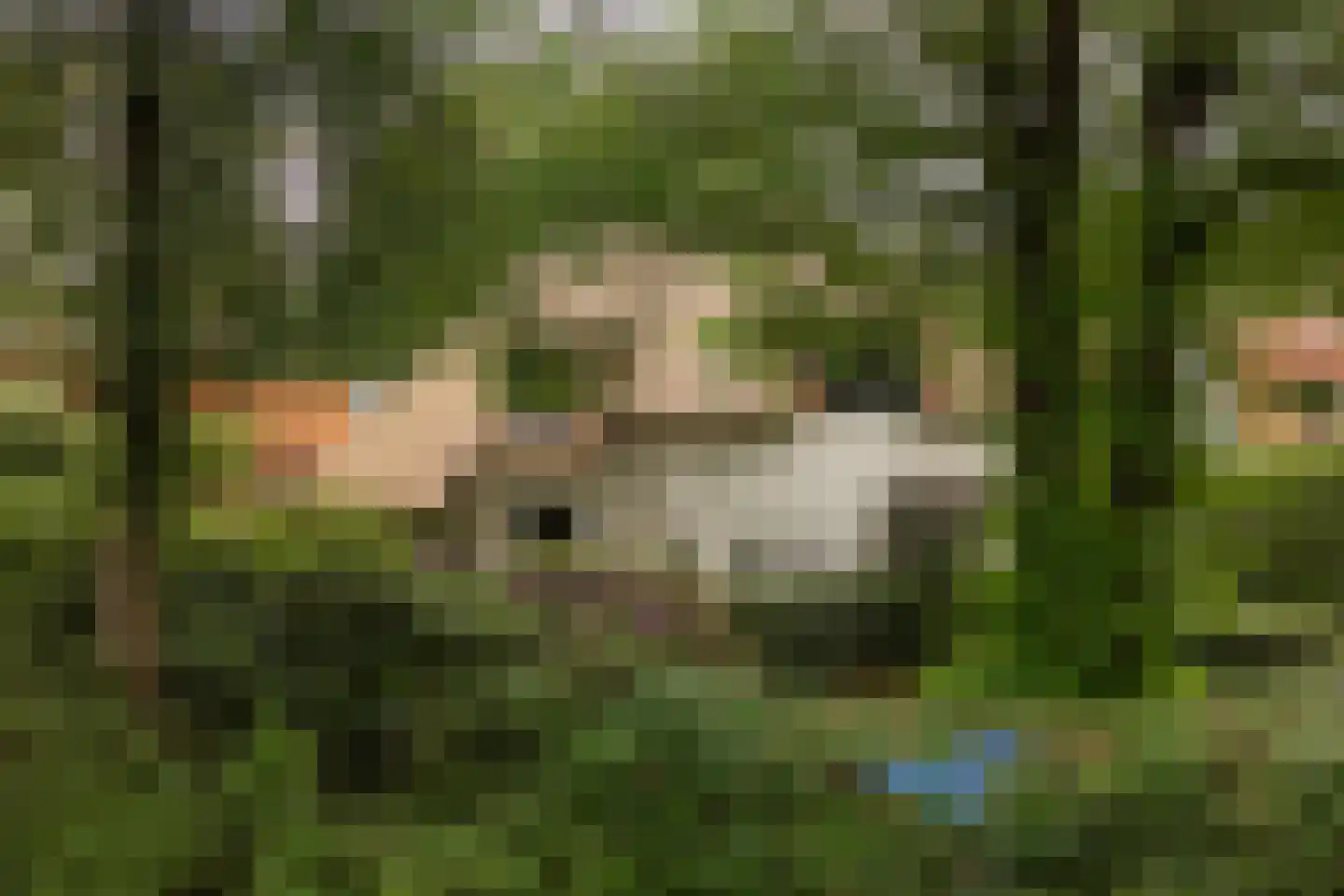 Hobbemalaan 41 Bilthoven thumbnail 8