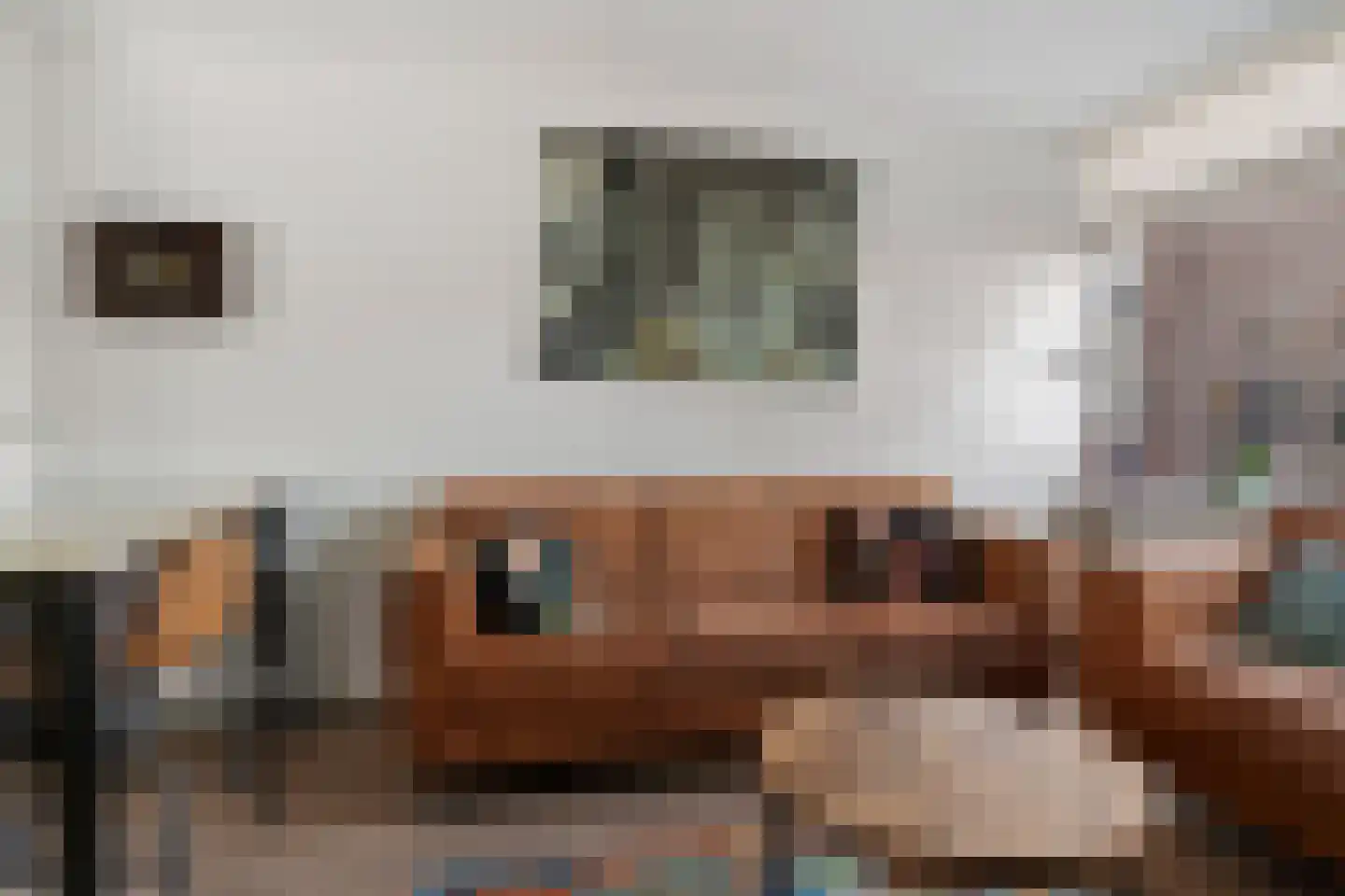 Hobbemalaan 43 Krimpen aan den IJssel thumbnail 12