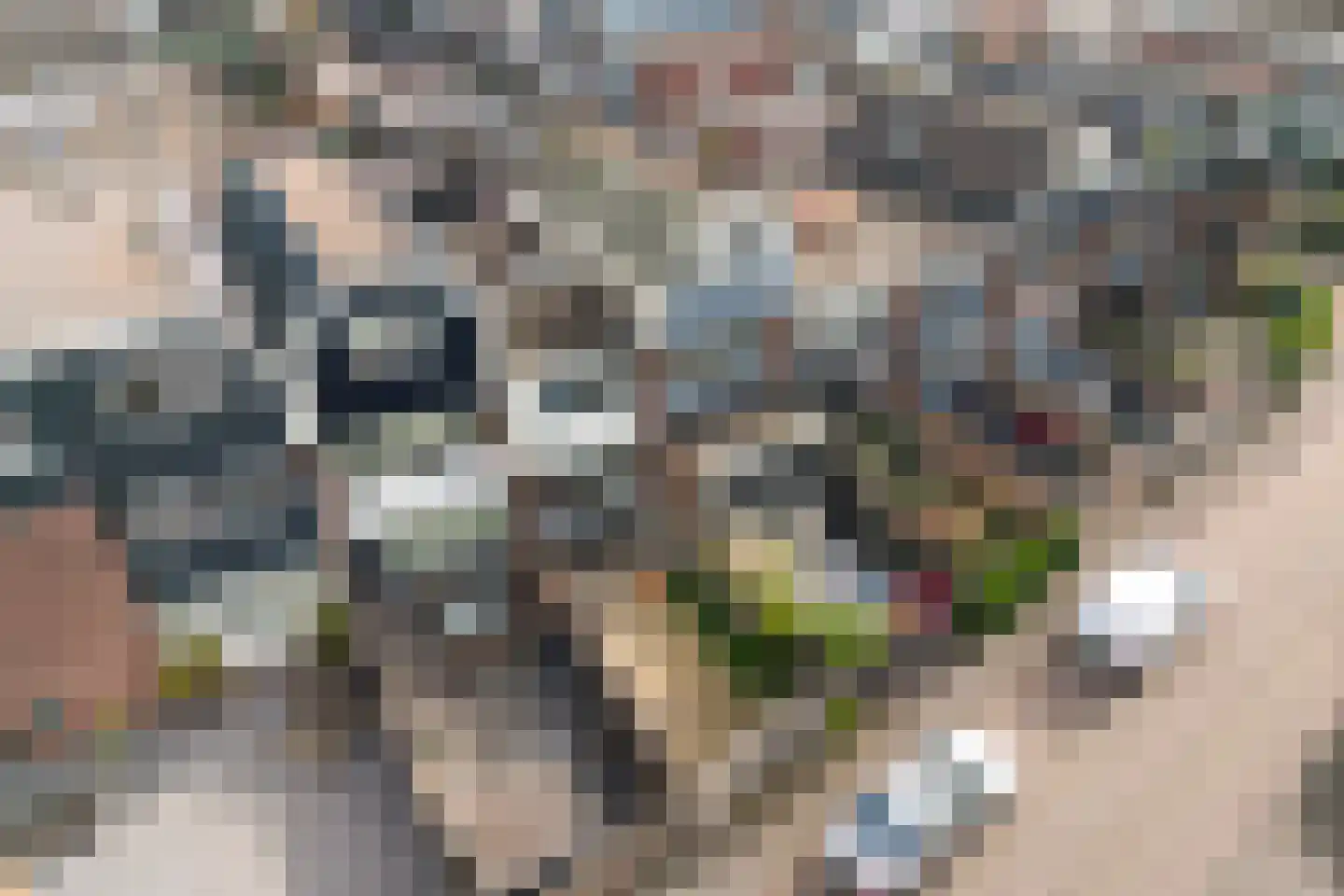 Hobbemalaan 43 Krimpen aan den IJssel thumbnail 33