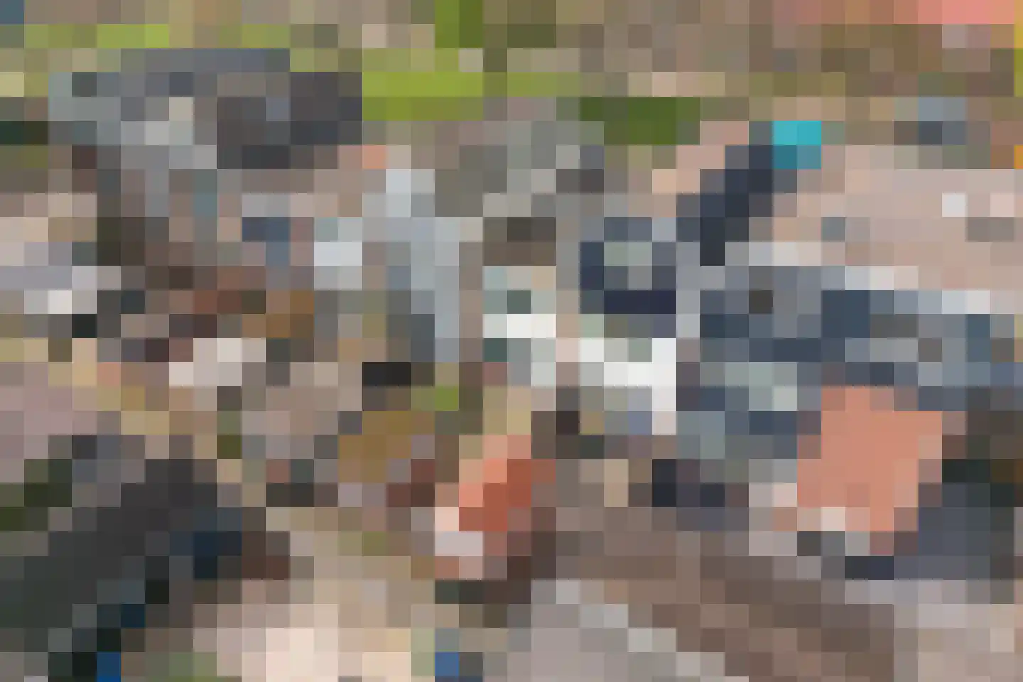 Hobbemalaan 43 Krimpen aan den IJssel thumbnail 6