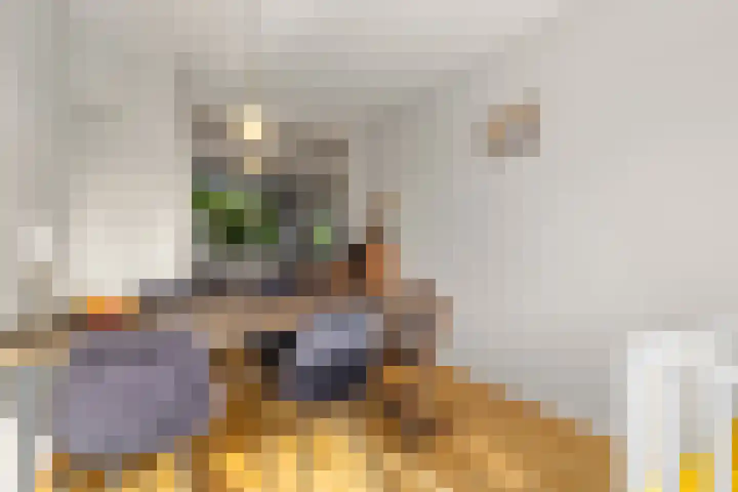 Hobbemalaan 45 Alkmaar thumbnail 13