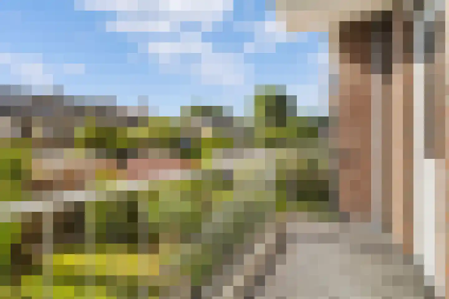 Hobbemalaan 45 Alkmaar thumbnail 24