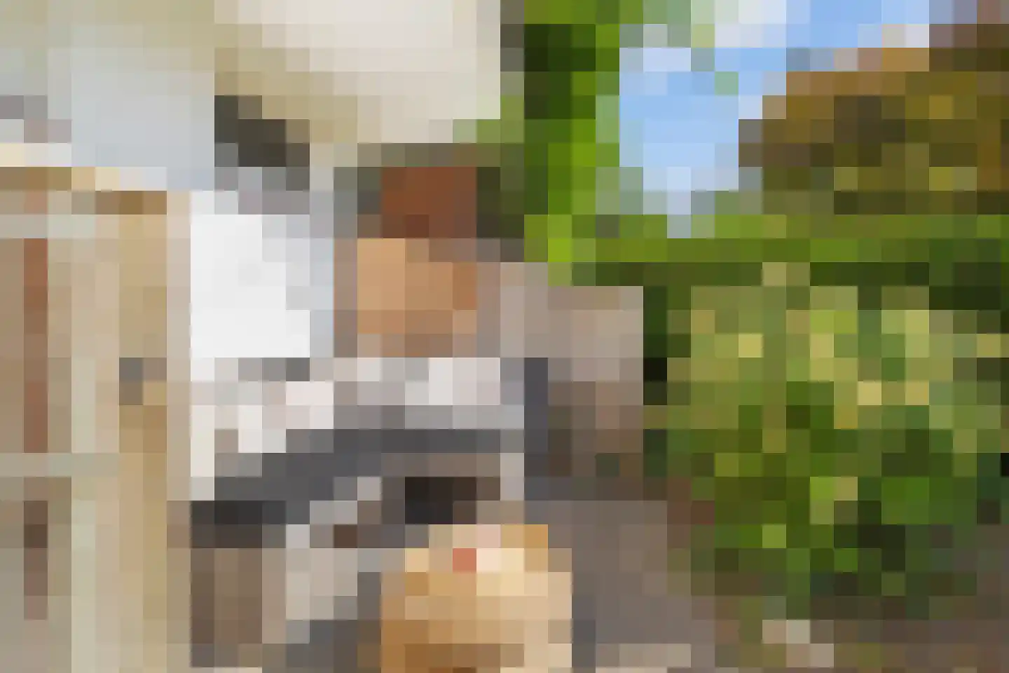 Hobbemalaan 45 Alkmaar thumbnail 28