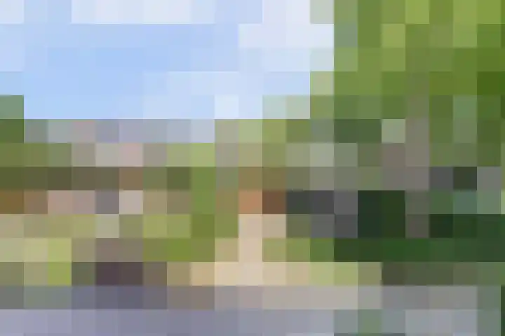 Hobbemalaan 48 Alkmaar thumbnail 25