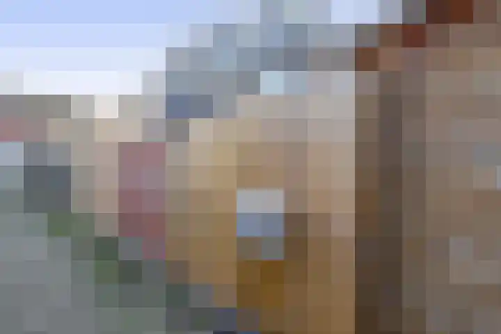 Hobbemalaan 49 Krimpen aan den IJssel thumbnail 17
