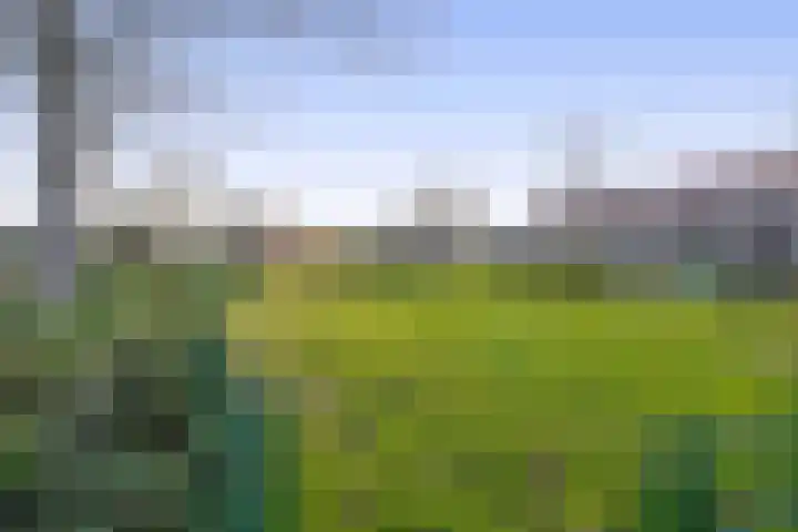 Hobbemalaan 49 Krimpen aan den IJssel thumbnail 31