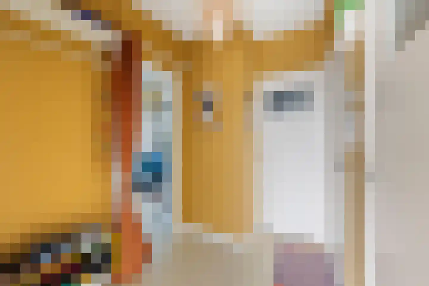 Hobbemalaan 53 Alkmaar thumbnail 20
