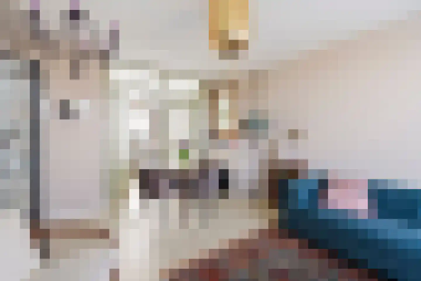Hobbemalaan 53 Alkmaar thumbnail 5