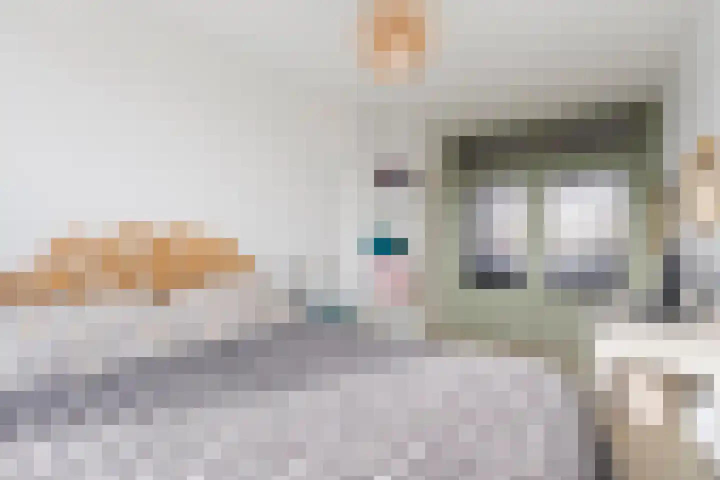 Hobbemalaan 53 Alkmaar thumbnail 8