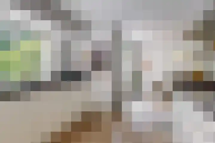 Hobbemalaan 53 Bilthoven thumbnail 16