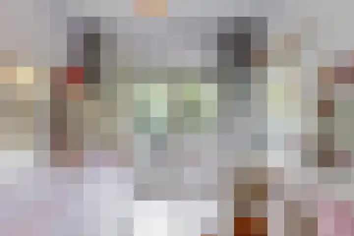 Hobbemalaan 53 Bilthoven thumbnail 31