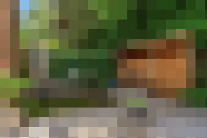 Hobbemalaan 53 Bilthoven thumbnail 44