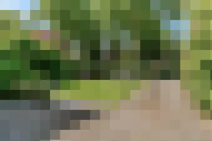 Hobbemalaan 53 Bilthoven thumbnail 5