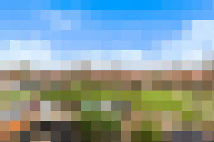 Hobbemalaan 59 Krimpen aan den IJssel thumbnail 33