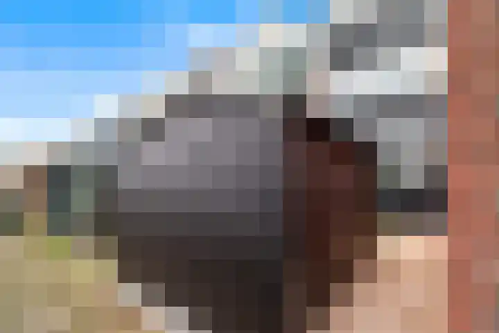 Hobbemalaan 59 Krimpen aan den IJssel thumbnail 39