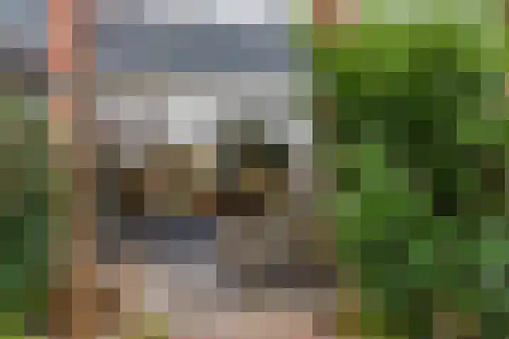 Hobbemalaan 59 Krimpen aan den IJssel thumbnail 8