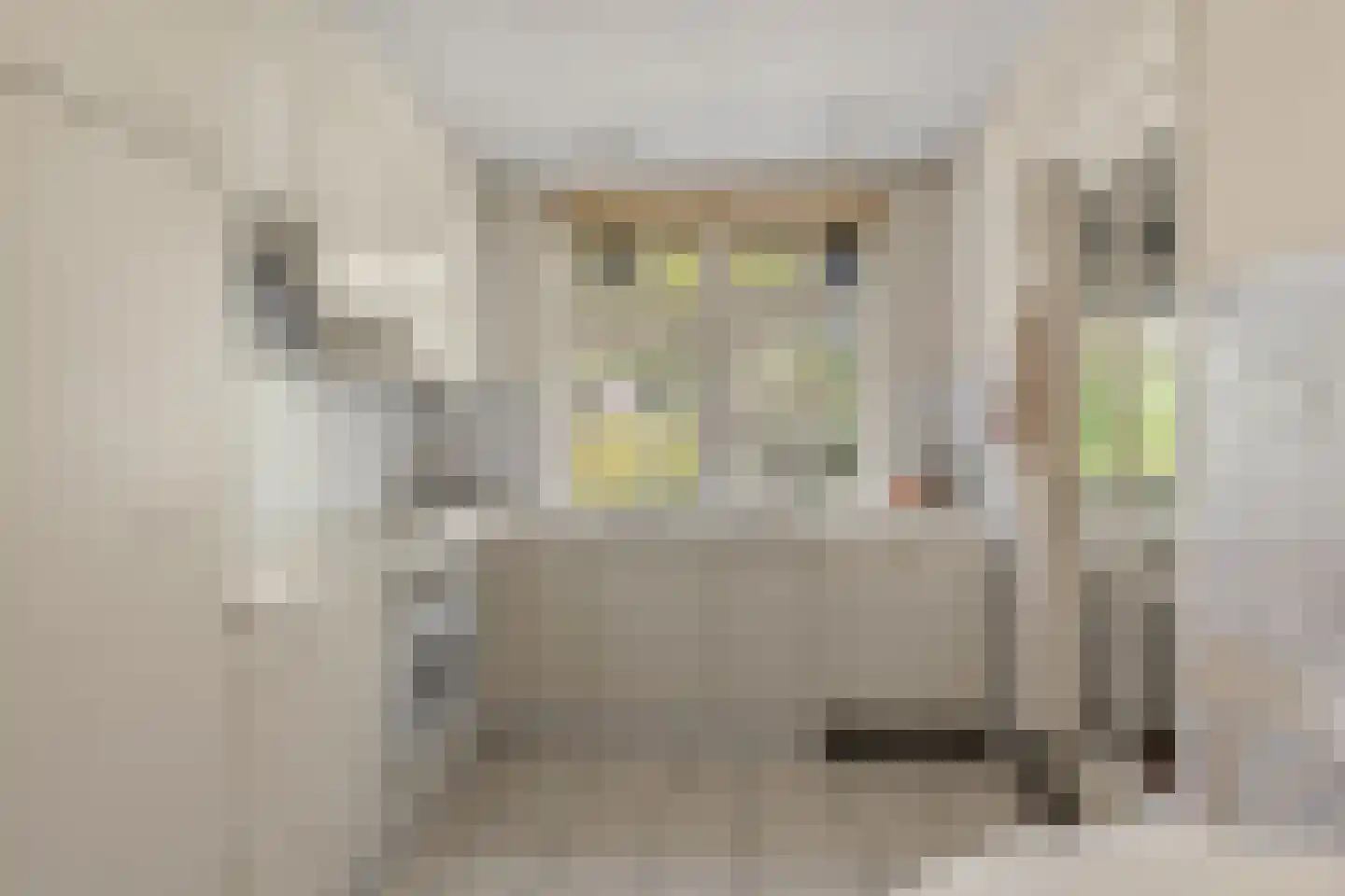 Hobbemalaan 60 Bilthoven thumbnail 18