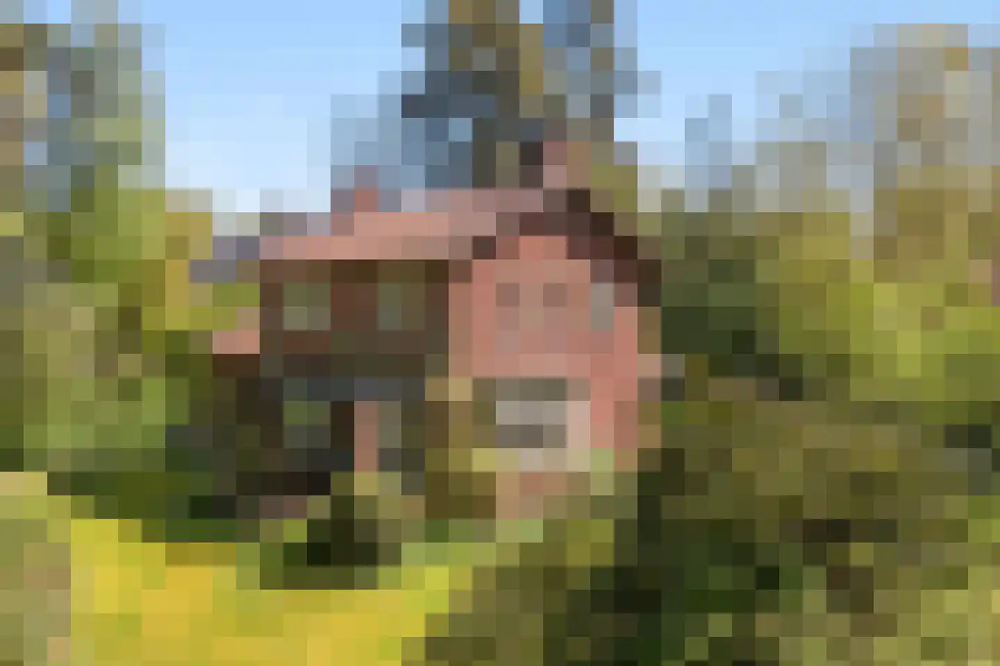 Hobbemalaan 60 Bilthoven thumbnail 24
