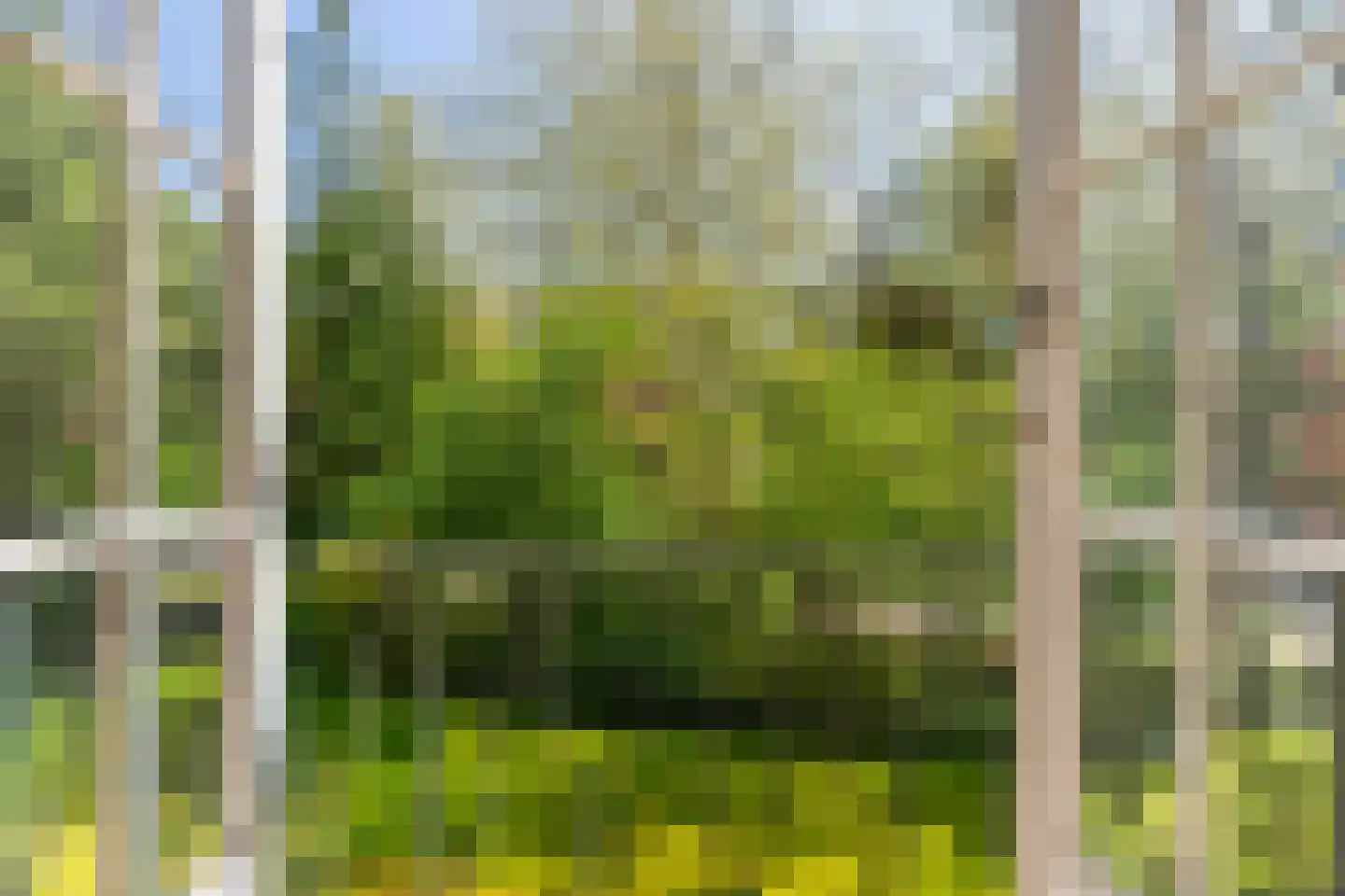Hobbemalaan 60 Bilthoven thumbnail 27