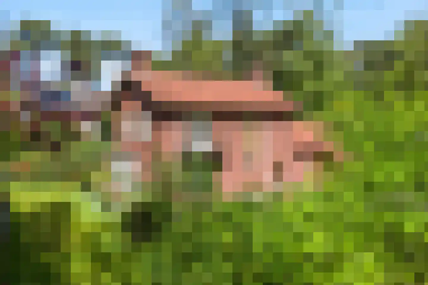 Hobbemalaan 60 Bilthoven thumbnail 28