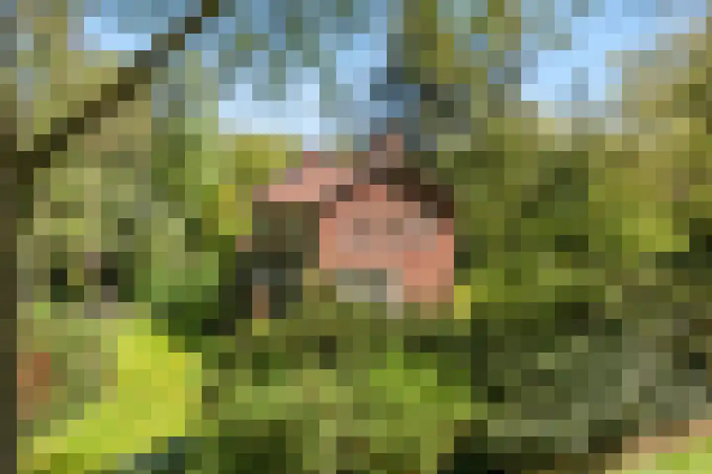Hobbemalaan 60 Bilthoven thumbnail 37
