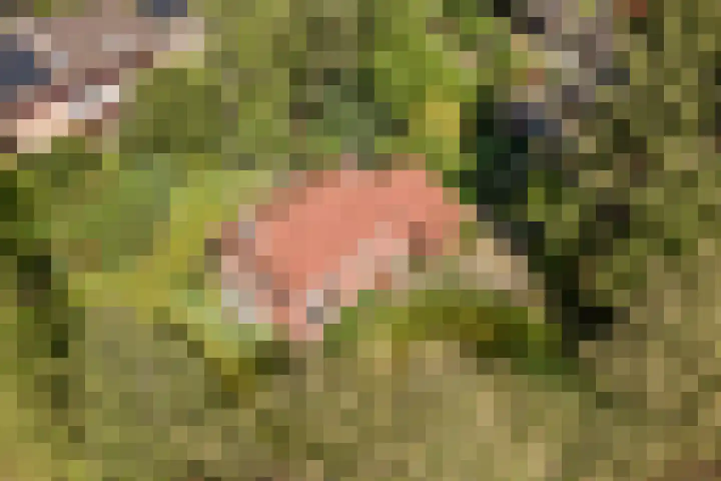 Hobbemalaan 60 Bilthoven thumbnail 4