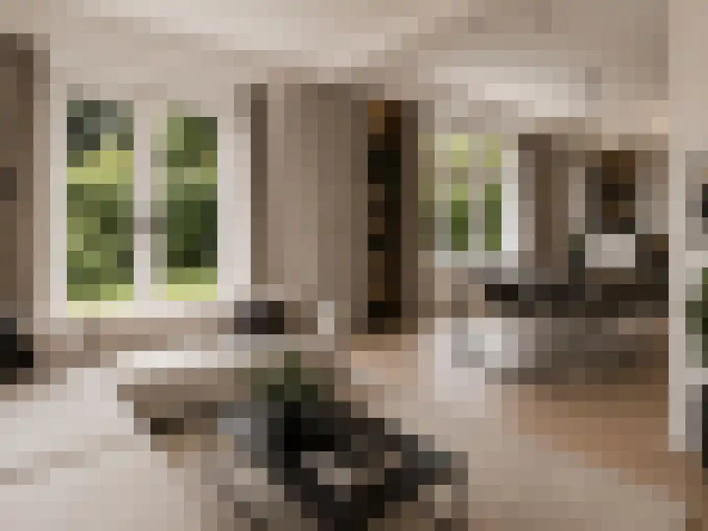 Hobbemalaan 60 Bilthoven thumbnail 5