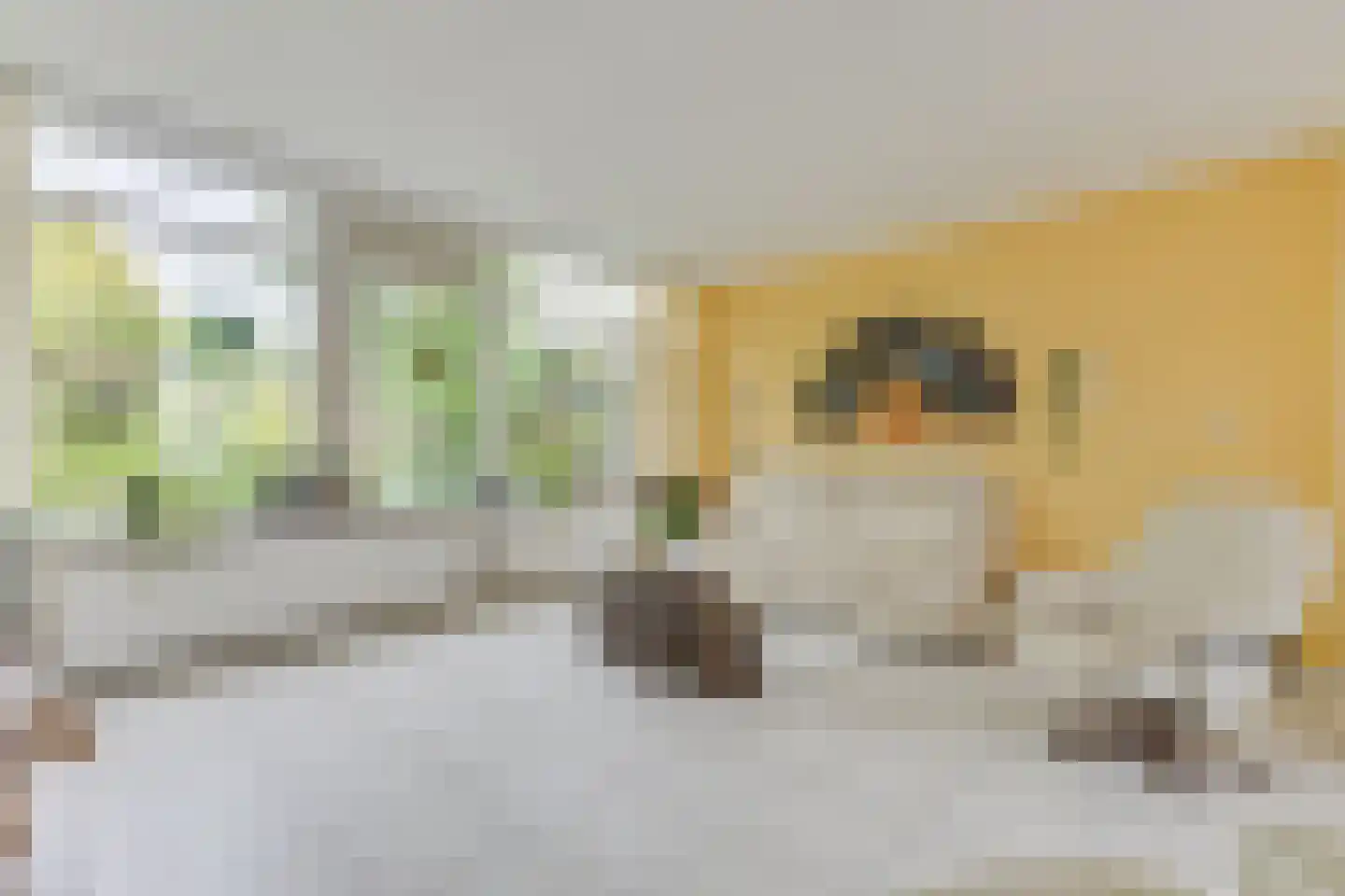 Hobbemaplantsoen 10 Heerhugowaard thumbnail 14