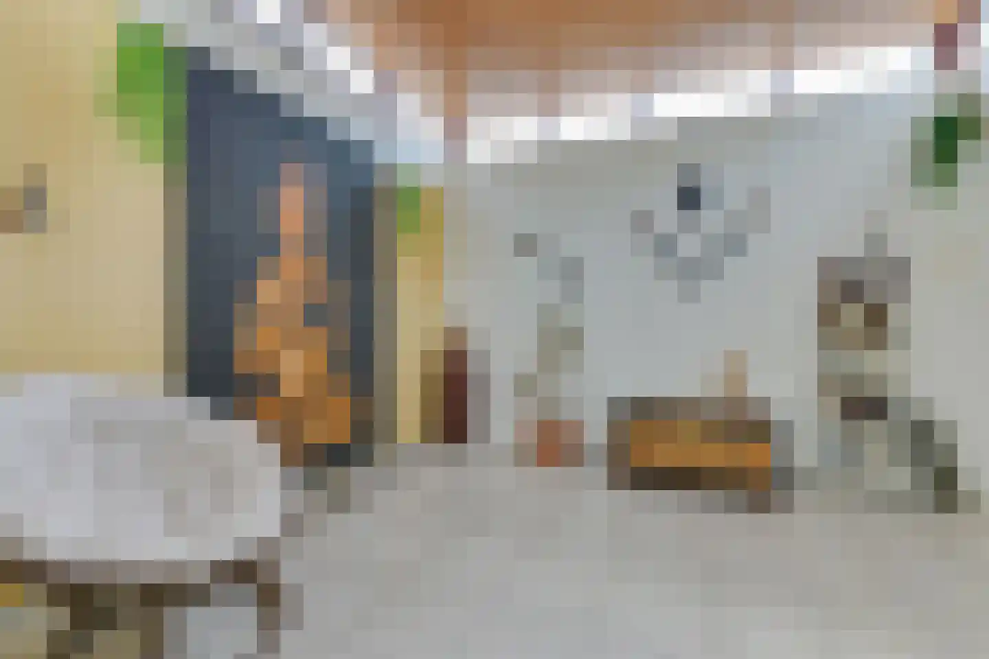 Hobbemaplantsoen 10 Heerhugowaard thumbnail 20
