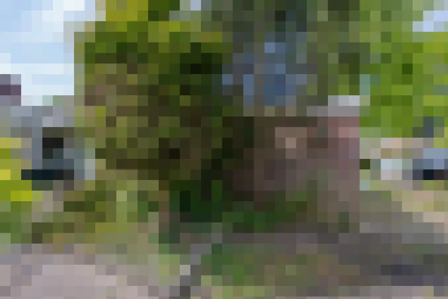 Hobbemaplantsoen 10 Heerhugowaard thumbnail 6