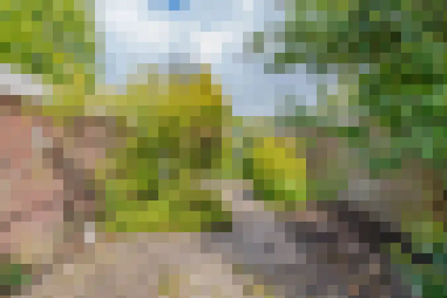 Hobbemaplantsoen 10 Heerhugowaard thumbnail 9