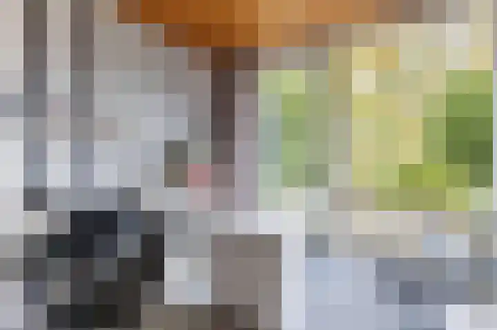 Hobbemaplantsoen 27 Heerhugowaard thumbnail 32